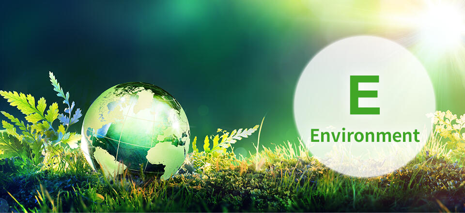 E Environment