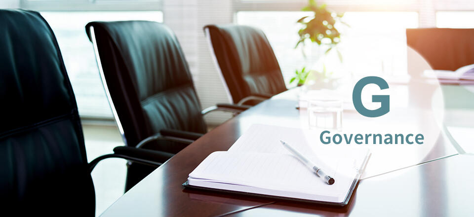 G Governance